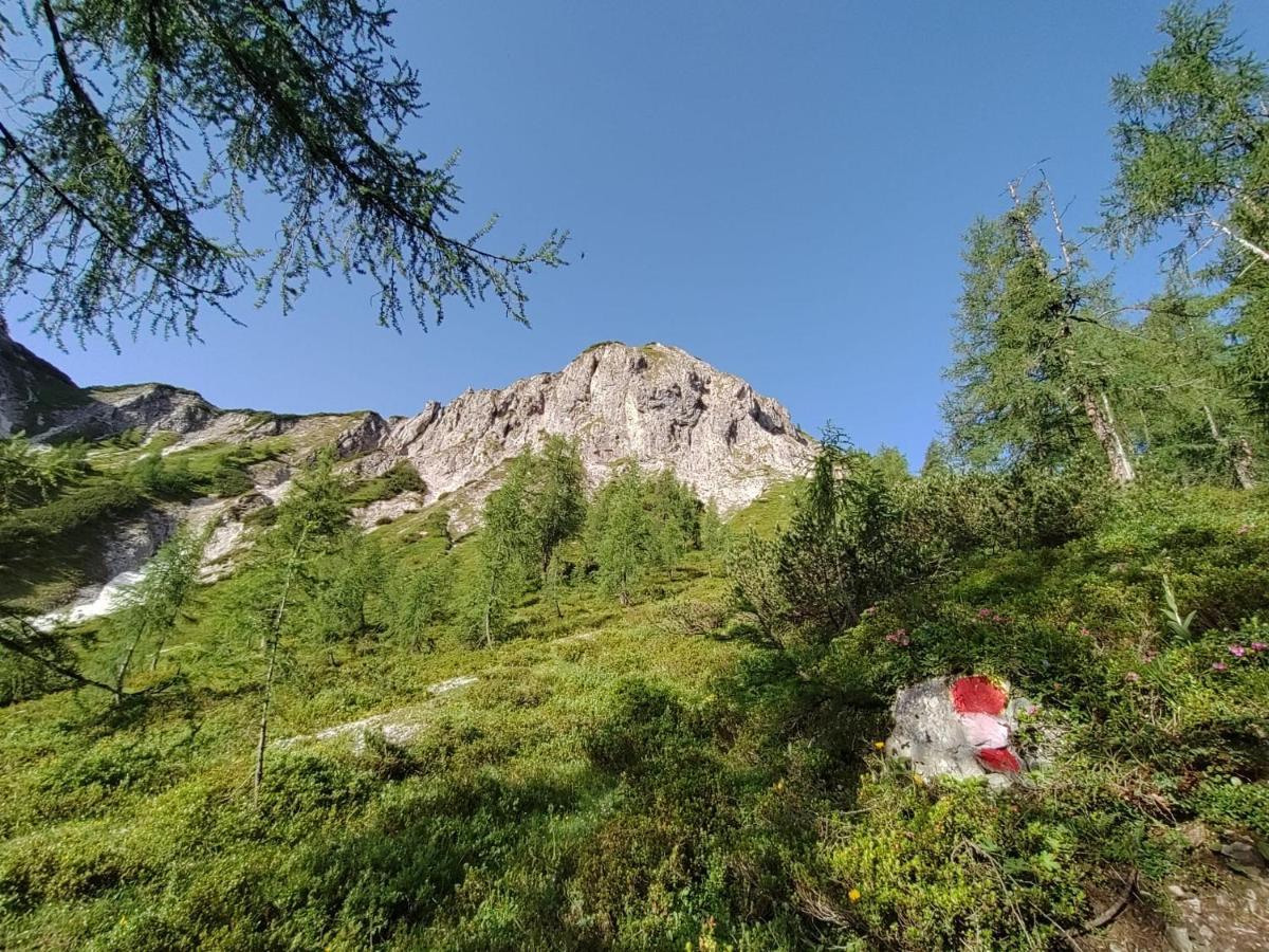 Firstpeak Chalets Цаухензее Экстерьер фото